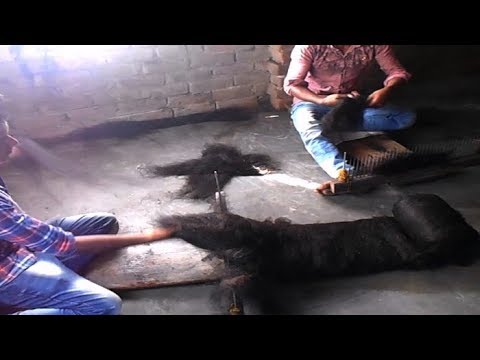 চুল- এখন আর ফেলনা নয়