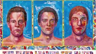 Violent Femmes - Breakin' Hearts