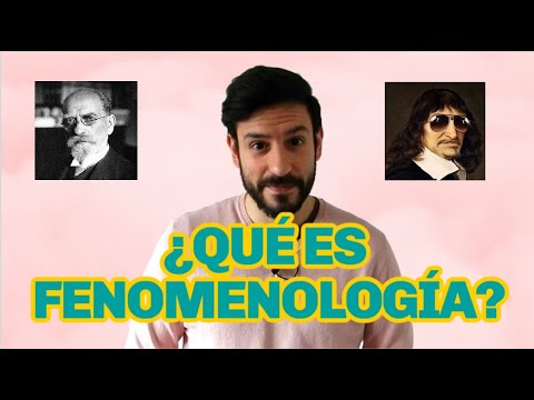 What is phenomenology? - EASY, FAST, AND SIMPLE 🤓🤓🤓