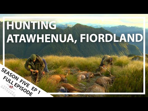 Hunting Aotearoa Series 5 EP01 Hunting Wapiti