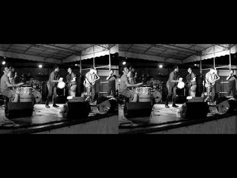 3D Live Music - Afrodizz @ Grand Parc Bordeaux (08/07/2010) Extrait 01