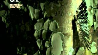 Mortiis - Decadent and desperate (2005, 480p)