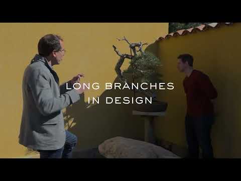 Long Branches in Bonsai Design With David Benavente