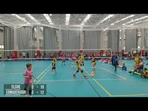 CV Elche vs Leleman Conqueridor - Fase Final Alevín FVBCV. 10/05/25