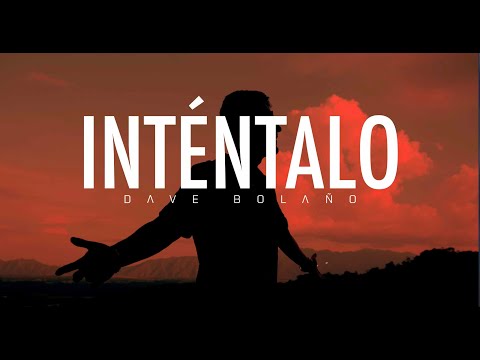 Dave Bolaño - Inténtalo (Visualizer)