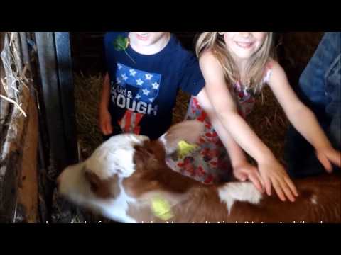 Demeterhof Mondel Nuestadt Aisch