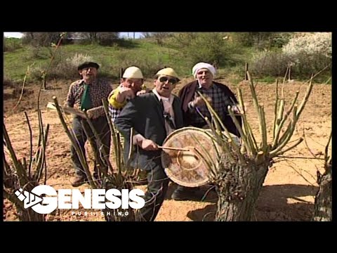 Cima,Leci - Hop hop çika