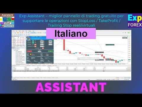 Video Exp Assistant 5