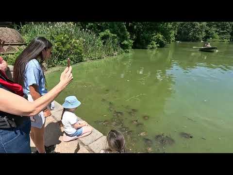 Visiting the Bethesda Terrace in the Central Park in New York City USA