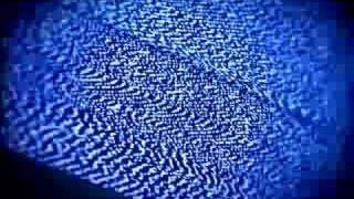 Trout Fishing In America