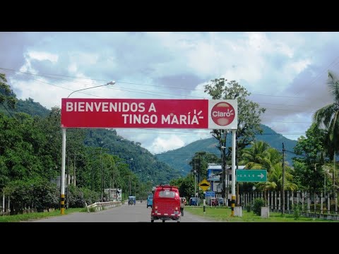 Tierno amor -  Hijos de la bella (Audio HD 320 kbps)