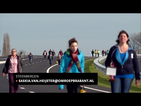 A4Run: Filelopen op de snelweg bij Steenbergen