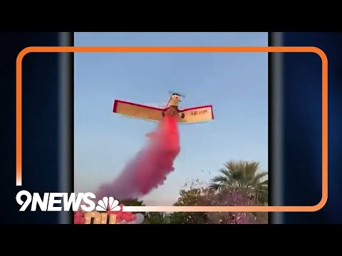 Pilot dies in plane crash during gender reveal party in Mexico