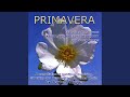 A Wonderful Place (excerpt From Akasha)