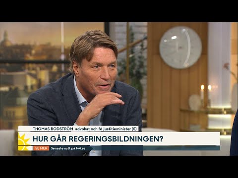Nyhetspanelen om regeringsbildningen: ”Allting går SD:s väg” | Nyhetsmorgon | TV4 & TV4 Play