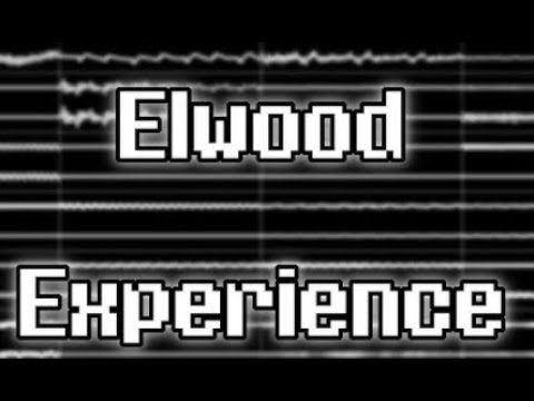 DSR 024 - Elwood - Experience