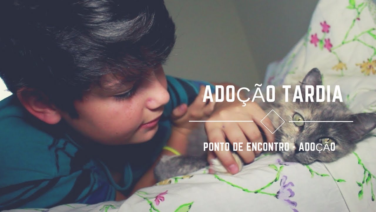 Ponto de Encontro - Adoção | Parte 2
