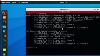 Meu Kali Linux não está se conectando à internet, o que devo fazer?