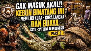 Download lagu THIS MAKES NO SENSE!! THIS ZOO HAS RARE TURTLES AND THE ONLY CROCODILE OF ITS KIND IN INDONESIA |... mp3 Download lagu THIS MAKES NO SENSE!! THIS ZOO HAS RARE TURTLES AND THE ONLY CROCODILE OF ITS KIND IN INDONESIA |... mp3