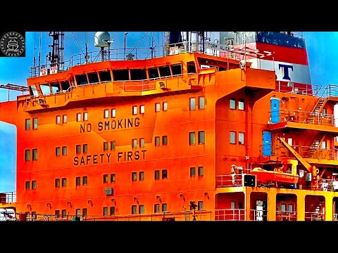 Shipspotting 4K LOS ANGELES/LONG BEACH Ports March 2023