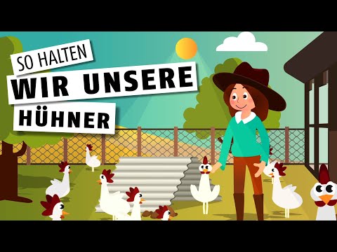 So halten wir unsere Hühner 🐔
