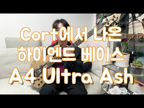 콜트 하이엔드 베이스 A4 Ultra Ash 리뷰!
