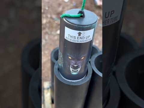 5” Amarok [COLOR] During The Day #canistershells