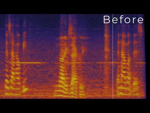 Free Download Absentia DX v3.3.1.2 WiN-R2R