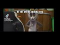 kingjulian don't suck seed