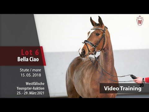 Westf. Youngster-Auktion 25.- 29. März 2021 Trainingsvideo Lot 6 Bella Ciao v.  Benicio - Starnberg
