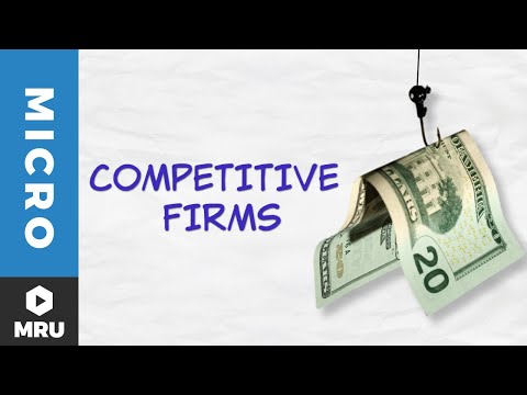 Introduction to the Competitive Firm