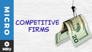 Introduction to the Competitive Firm