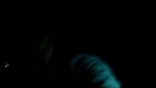 never enough - holiday parade