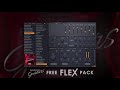 Flex Essential Guitars Essential Bass Guitars Free