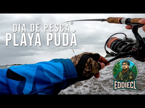 Día de Pesca en Playa Pudá buscando Corvinas - Region del Biobio