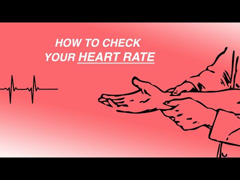 How To Check Your Heart Rate