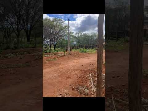 Nova Redenção Bahia Chapada Diamantina