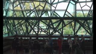 Sol Y Sombra performed by Feet