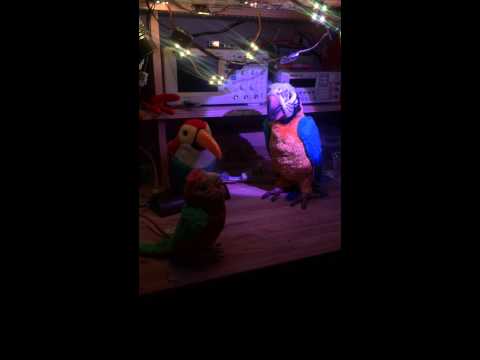 YouTube video