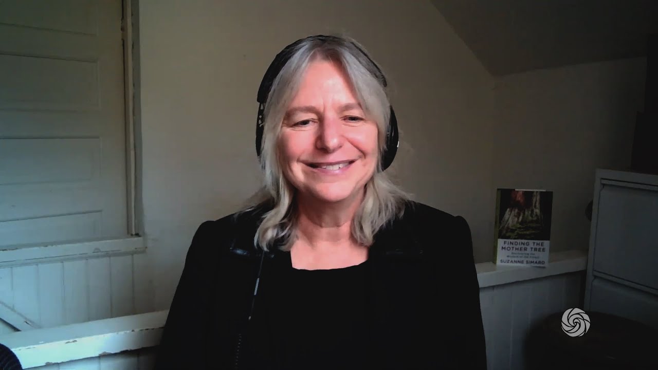 Suzanne Simard – Dispatches From the Mother Trees | Bioneers