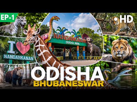 Nandankanan Zoo,🦖[ Nandankanan Zoo Safari Ticket price ] Nandankanan zoological Park Bhubaneswar