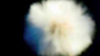 Spirit (The Waterboys)