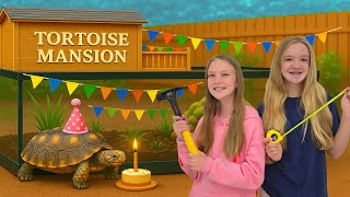 Building Tortoise Mansion for Sammy!!