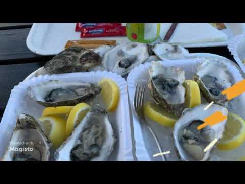 One of my happy place to eat oysters! Kåseberga!