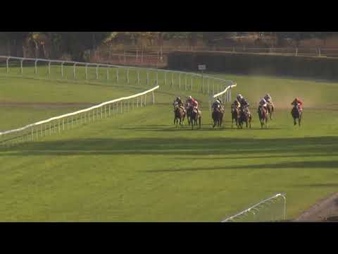 6. dostih - 3. PRAŽSKÝ ZIMNÍ FAVORIT - Videa z Pražského zimního favorita 2018 v Chuchli