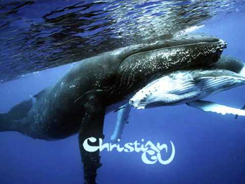 Il canto delle balene - Christian Gu - sound track