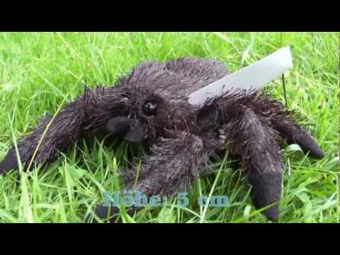 Spinne schwarz 20 cm