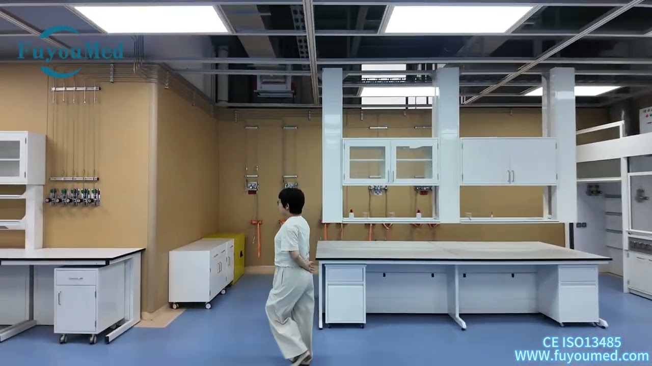 Jiangsu Fuyou Medical's laboratory design and layout-Video introduction