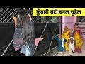 कुँवारी बेटी बनल चुड़ैल ️ Chunalal Dhorba Comedy 2024