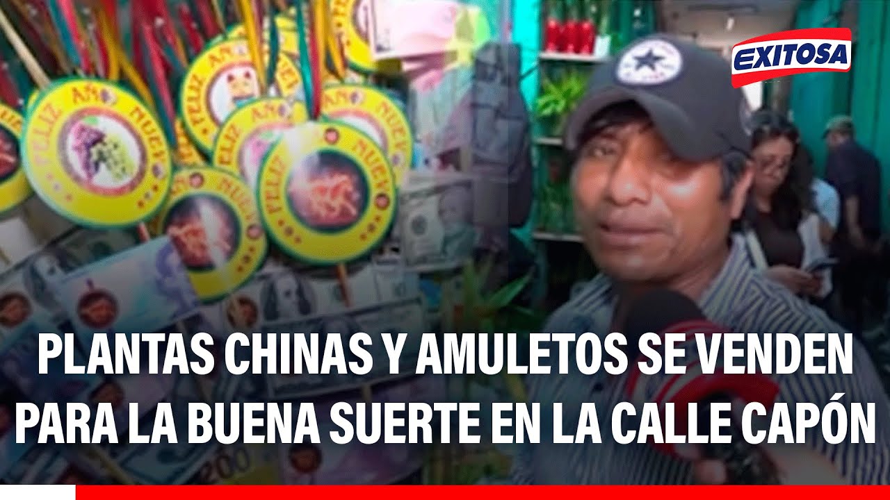 🔴🔵 Año Nuevo 2026: Plantas chinas y amuletos se venden para la buena suerte en la calle Capón